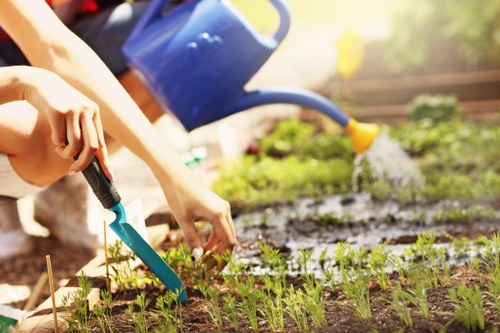Team member preparing to trim a hedge in a Bounds Green garden