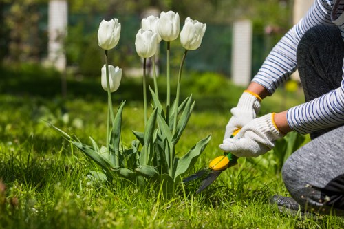 Mower creating clean stripes on a well-maintained residential lawn