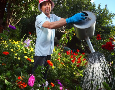 A man wearing a wide-brimmed hat, light blue shirt, and blue gardening gloves is watering a vibrant garden with a metal watering can, positioned amidst a variety of flowering plants and shrubs. The garden features a lush, green lawn in the foreground, with densely planted flower beds containing bright red, pink, purple, and yellow blooms, extending towards a backdrop of tall trees and natural foliage. The scene appears to be outdoors in daytime with clear weather, highlighting the natural tones of the garden's plant life and the textured surfaces of the wooden decking and soil beds nearby. The setting suggests a well-maintained, landscaped outdoor space consistent with professional gardening and lawn care services, and subtly reflects service areas like Bounds Green or nearby North London neighborhoods, as indicated on the website of Hedge Trimming Bounds Green.