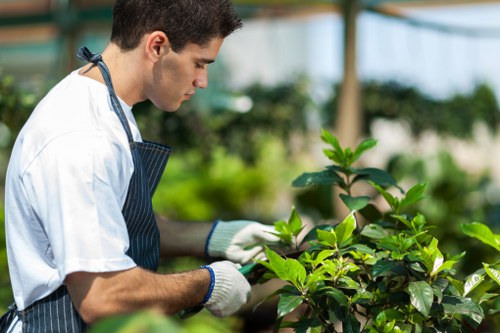 Training session on modern slavery awareness for hedge trimming staff