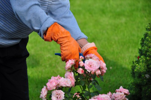 A person wearing a blue long-sleeve shirt and bright orange gardening gloves is pruning a bush or flowering shrub with light pink blossoms in a well-maintained, landscaped garden. The garden features a lush, green lawn with neatly trimmed grass in the foreground, bordered by planting beds with dark soil and a variety of bushes and flowers. To the right, there is a small ornamental shrub with dark green foliage, possibly a box hedge or similar clipped shrub, adding structure to the garden. In the background, taller trees and additional greenery contribute to a serene outdoor setting, under natural daylight with slightly overcast weather. This scene illustrates typical garden maintenance work, such as pruning and shrub trimming, aligning with services offered by Hedge Trimming Bounds Green in the local Bounds Green area, N22, supporting professional outdoor garden care and landscaping projects.