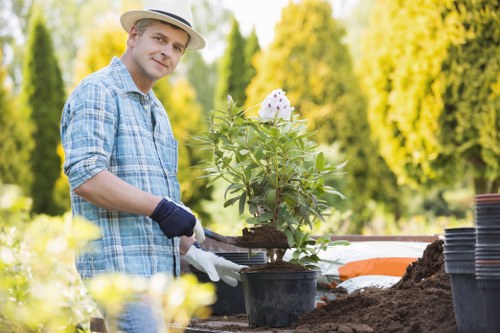 Landscaper planning a sustainable garden redesign in Bounds Green