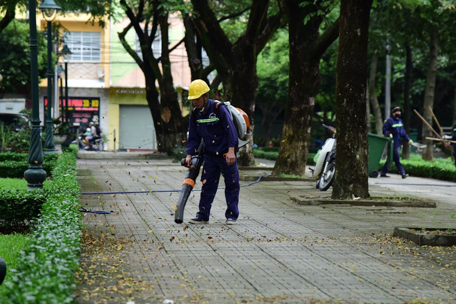 A person wearing a blue raincoat and black trousers is engaged in garden maintenance on a well-manicured lawn, using a rake to gather fallen leaves. The individual is standing amidst neatly trimmed sh